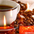 Coffee Bean. World of Coffee