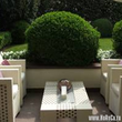 Летний бар Principe Bar Champagne Bar