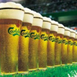 Carlsberg планирует довести свою долю в «Балтике» до 100%