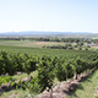 Испанская винная компания под наименованием Tentenublo Wines вывела свежую, но довольно ограниченную линейку вин Escondite del Ardacho Испанская винная компания под наименованием Tentenublo Wines вывела свежую, но довольно ограниченную линейку вин Escondite del Ardacho