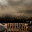 Dj должен веселиться вместе со всеми