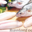 Знакомьтесь: Пангасиус