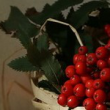 Такие разные настойки Такие разные настойки