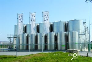 Напитки №4 Винный рынок на пути к реальности Напитки №4 Винный рынок на пути к реальности