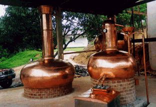 cachaca_alambique.jpg